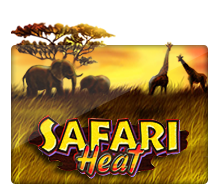 safari heat